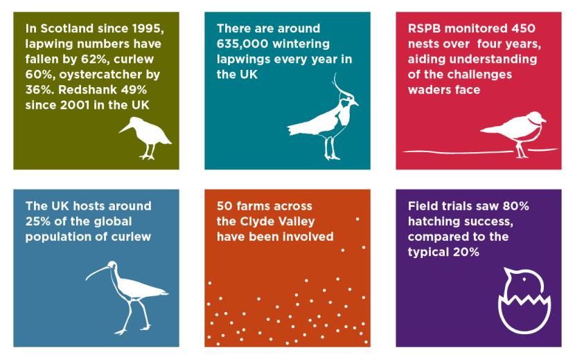 Clyde Valley Waders tiles
