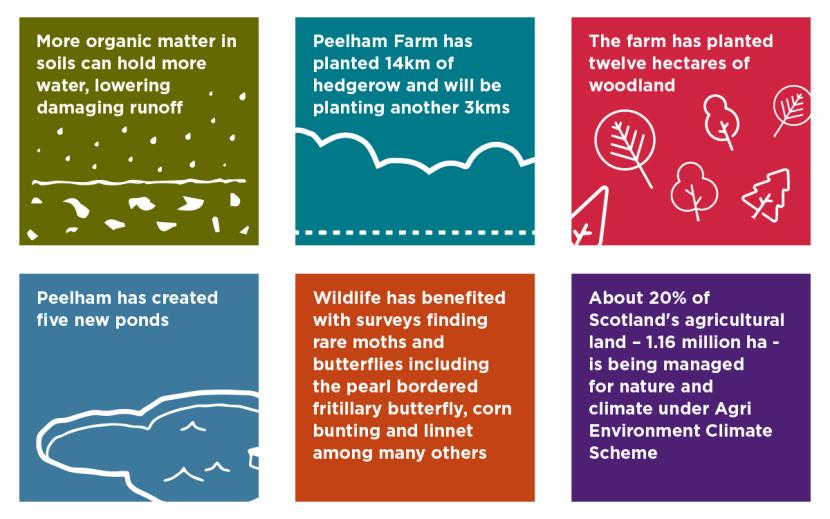Peelham Farm - tiles