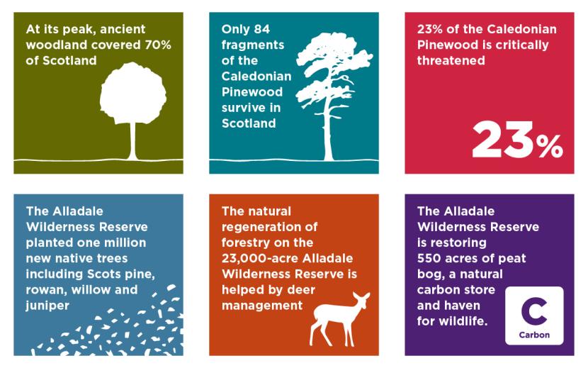 Alladale Wilderness Reserve tiles