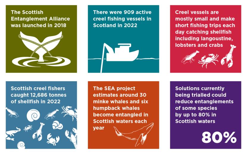 Scottish Entanglement Alliance tiles