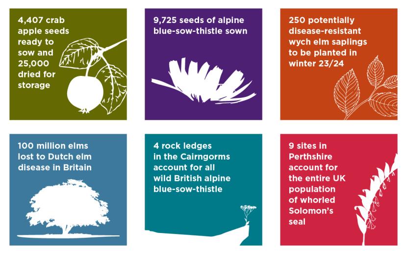 Royal Botanic Garden Edinburgh - project tiles