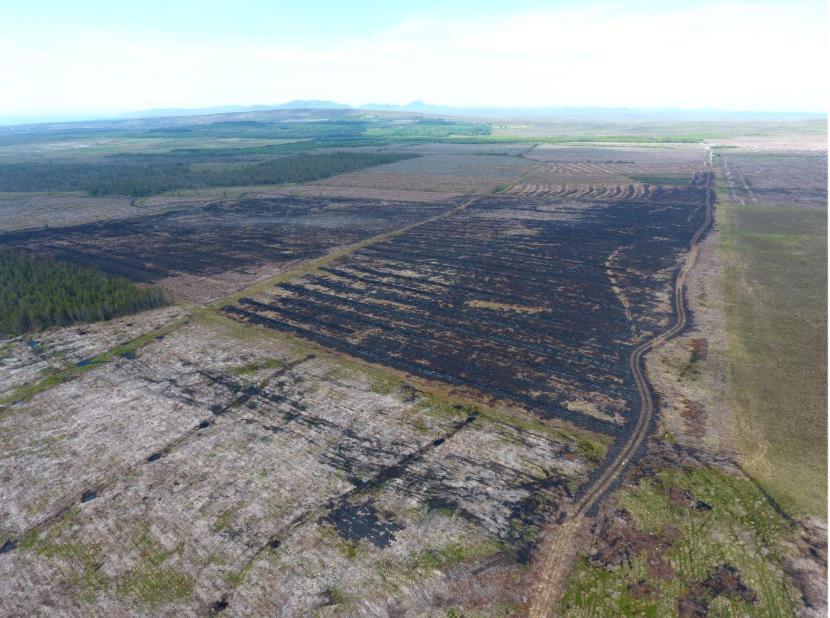 Aerial photograph of Golticlay showing the clear line where the forest-to-bog restoration area prevented the spread of the fire damage.