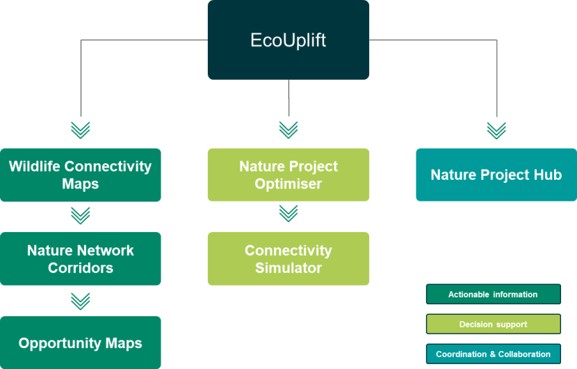 A flow diagram showing the different outputs and functions that sit within the AECOM EcoUplift Tool. These are split into three types; actionable information, decision support tool functions and coordination and collaboration functions