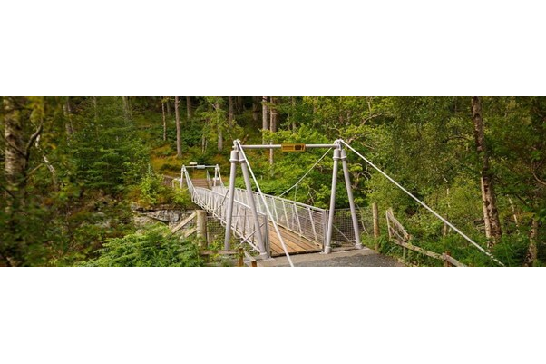 Bridge over Corrieshalloch Gorge, with trees surrounding it.