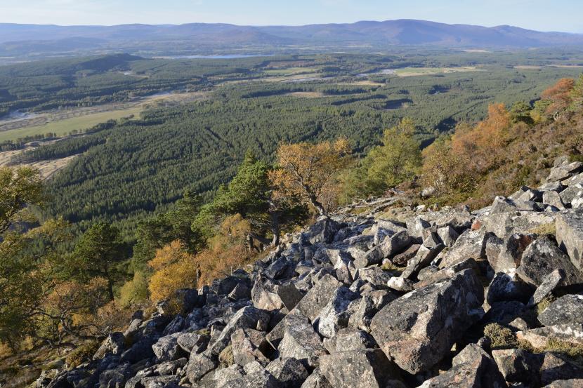 Rocky hillside sloping down to woodland and mountains in the distance.