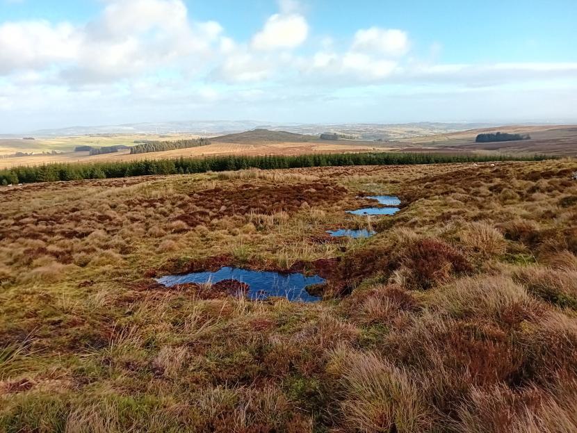 Wave dams after Phase One of restoration work at Duchal Moor. Water is already beginning to pool on the surface.