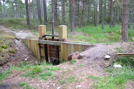A restored dam in the woods.