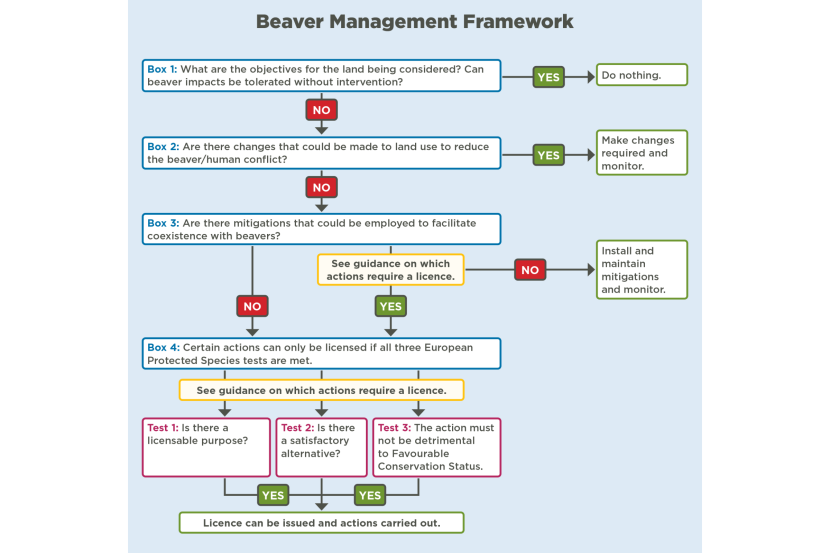 Beaver Management Framework Flowchart