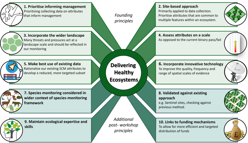 Infographic listing the 10 guiding principles of the protected areas monitoring reform proposal.
