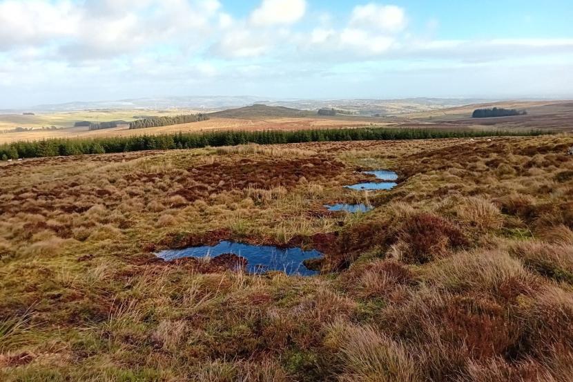 Peatland showing signs of rewetting where a drain has been dammed ©Peatland ACTION/Swift Films.