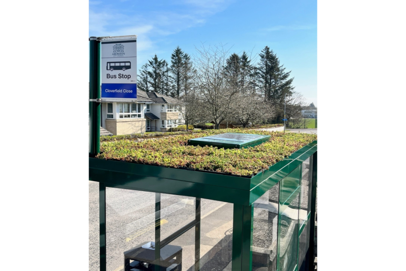 Green roof on a bus stop.