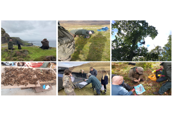 Figure 11, as described in the Sea Eagle Management Scheme Review 2024