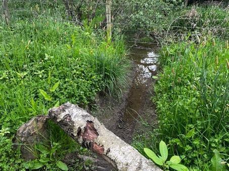 Small watercourse running under a wire fence