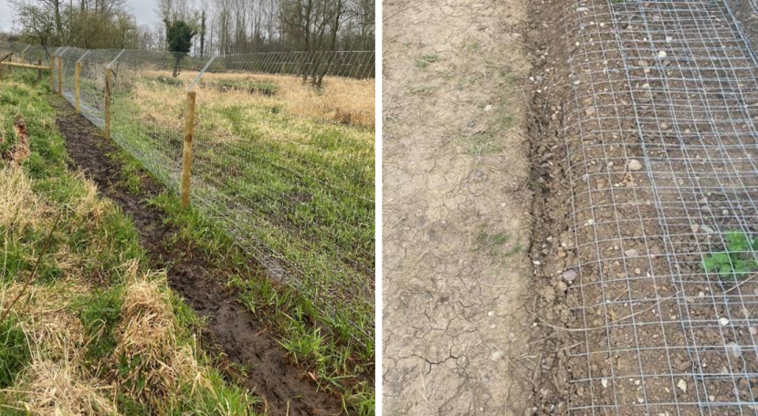 Two images of wire fencing that could be use for beavers