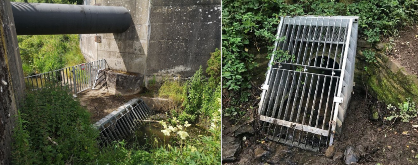 Two images of metal water gates that can be used to deter beavers