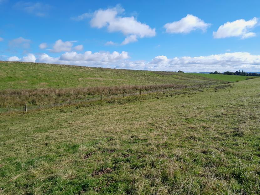 Grassland Selector Tool