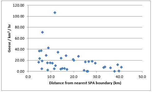 Graph showing the goose flight activity level plotted against increasing distance from the nearest SPA.