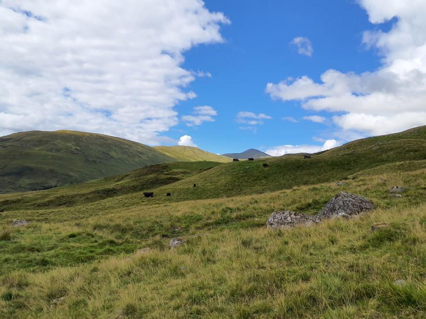 Grassland Selector Tool