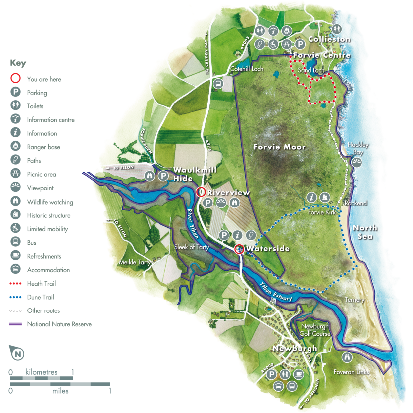 Forvie map illustration