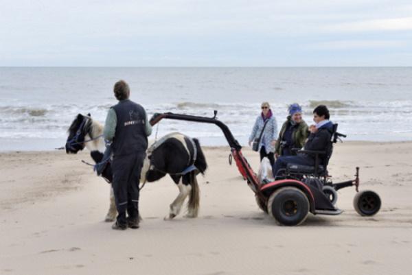 A man with a horse using a special trailer to enable people with mobility issues to access the beach.
