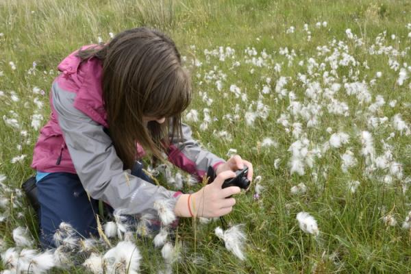 A girl photographing cotton grass at Taynish National Nature Reserve.