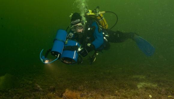 NatureScot diver swimming over a maerl bed