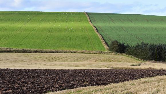 Grassland Selector Tool