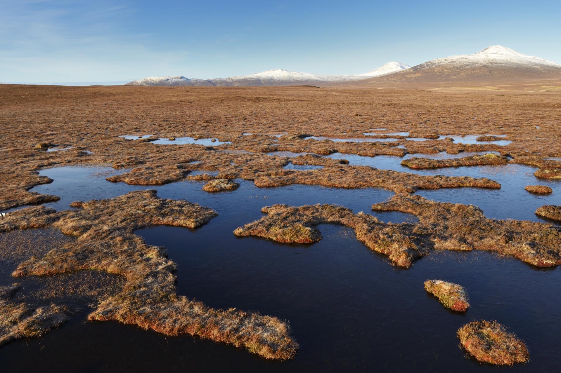 Dubh lochans on the blanket bog at Forsinard Flows National Nature Reserve. ©Lorne Gill/SNH. 