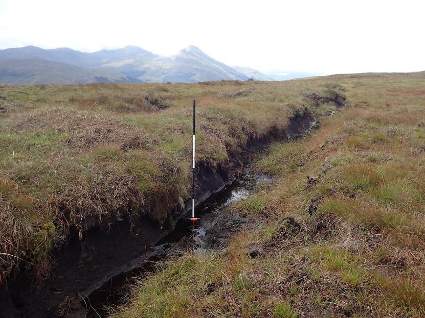 Eroding gully, with measuring pole showing depth. ©RJCooper/Loch Lomond & The Trossachs National Park Authority / Peatland ACTION