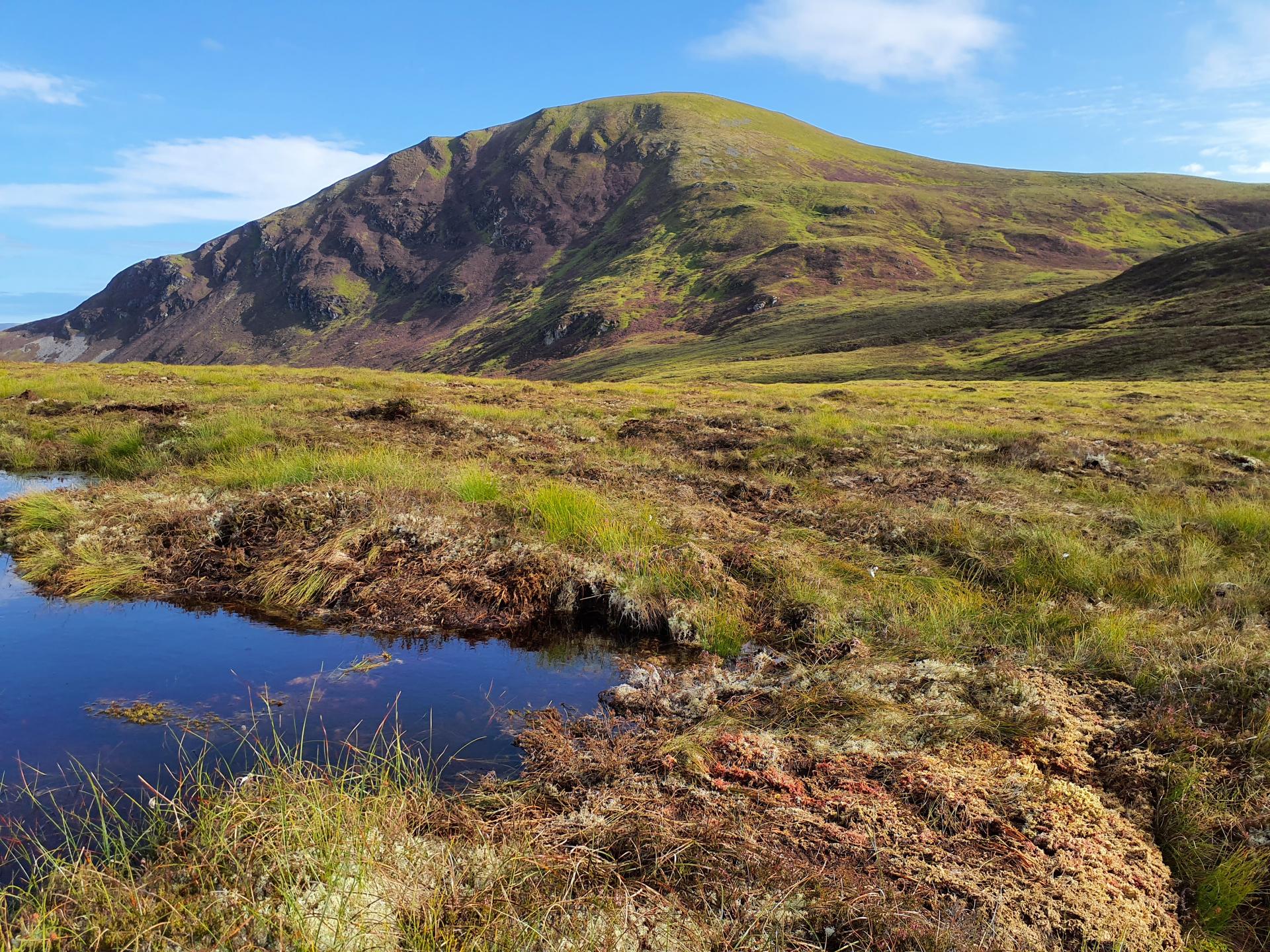View of a bog bool and Ben Wyvis in the background.