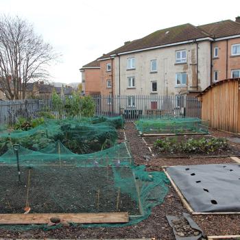 Flowerbeds being built