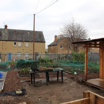 Flowerbeds being built in greenspace