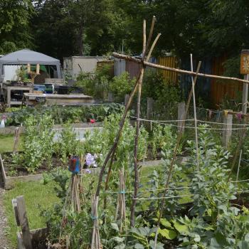 GI - Cyrenians community garden - Image 1