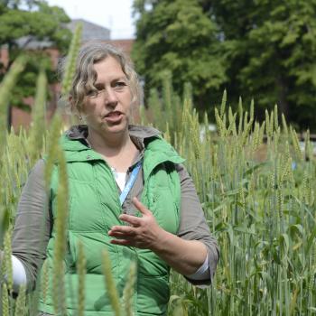 Volunteers at the Cyrenians Community Garden