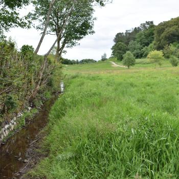 Fernbrae Meadow, GI site visit