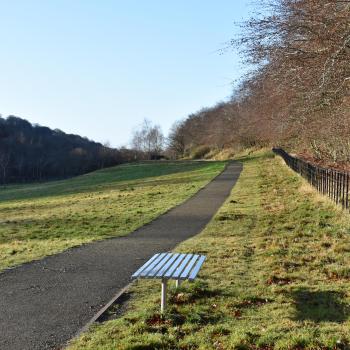 Fernbrae Meadow, GI site visit