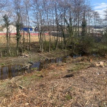 Green Infrastructure - The Treehouse - Rear view of project site