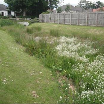 SUDS Drainage system