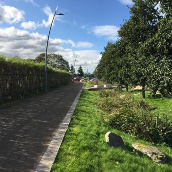 Swale at Barrowfields