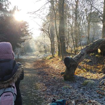 child on frosty path in the woods, as sun streams through trees.