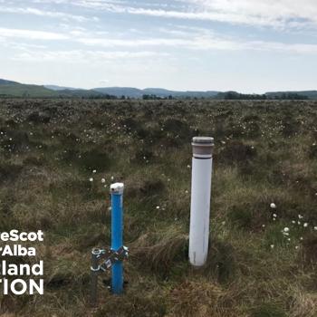 Peatland ACTION - Data loggers