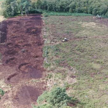 The horseshoe-shaped cell bunds take shape.