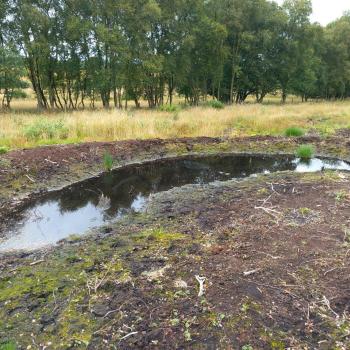 Peatland ACTION Case Study - Bankhead Moss - Image 2 of 3 showing  horseshoe-shaped cell bunds during the different stages of the restoration process.