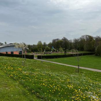 Grass area with building in background
