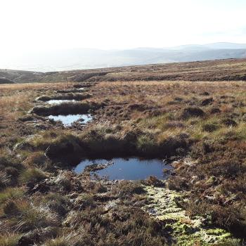Case study - landscape after drain re-profiling