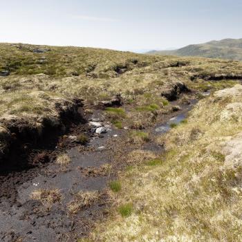 Example of one of the eroding gullies before restoration work.