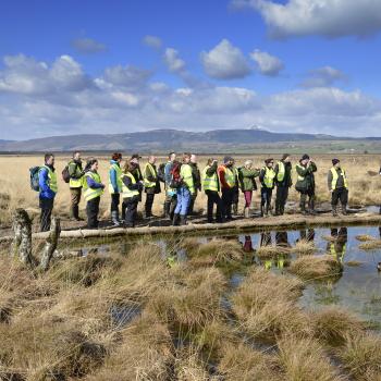 Peatland ACTION - Gallery - Events