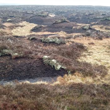 Areas of hummocky bare peat at Tardoes Farm before restoration.