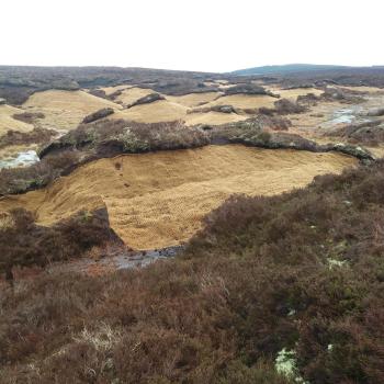 Areas of hummocky bare peat after coir matting added. The coir matting helps to stabalise the bare peat forming a barrier against the elements and a foothold for the colonisation of peatland plants.