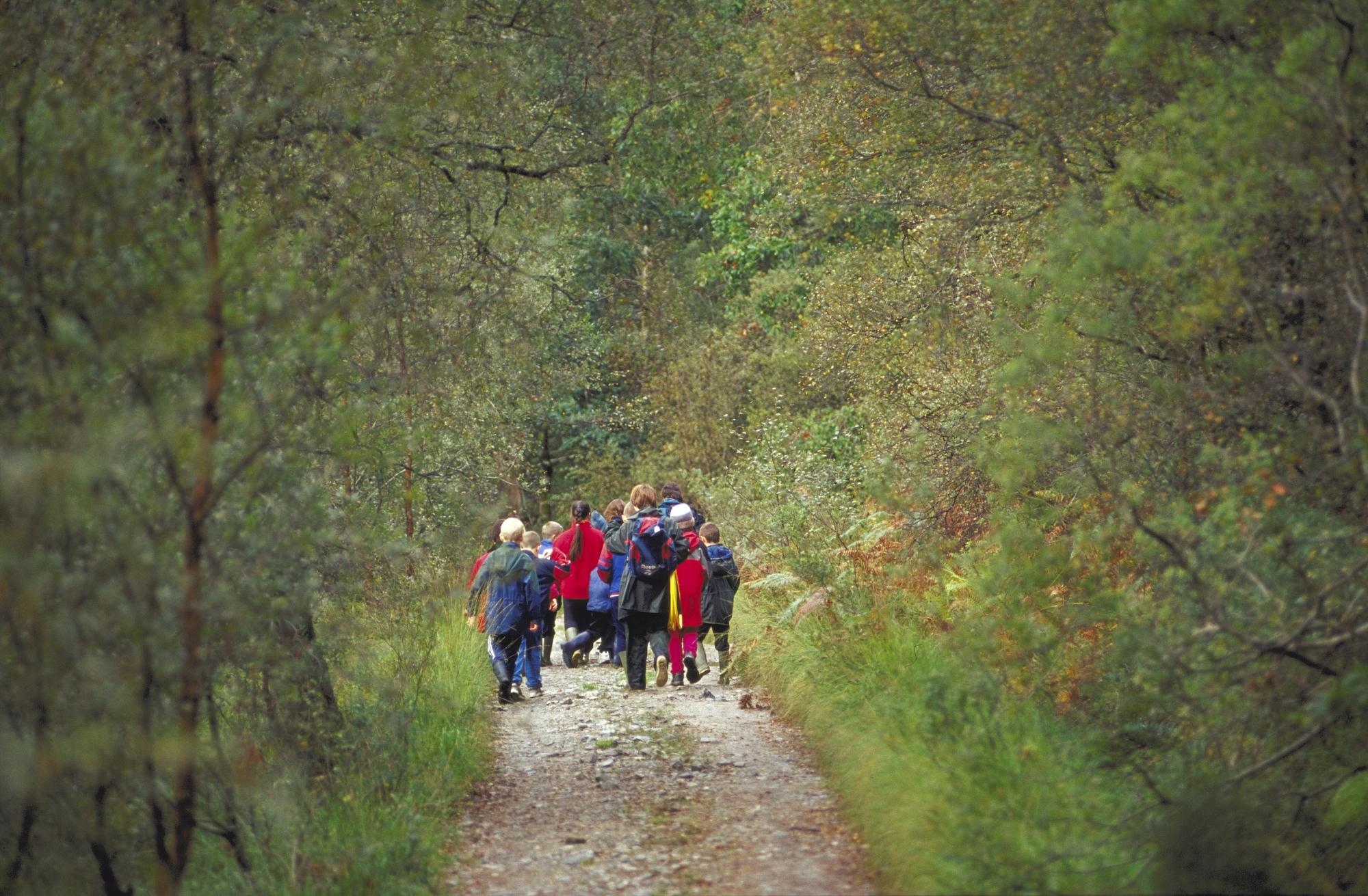 People walking on a track at Ariundle NNR.  ©Lorne Gill/SNH. For information on reproduction rights contact the Scottish Natural Heritage Image Library on Tel. 01738 444177 or www.nature.scot